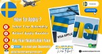 Essential Guide to Sweden Work Permit and Business Resident Visa Requirements for Algerian Citizens